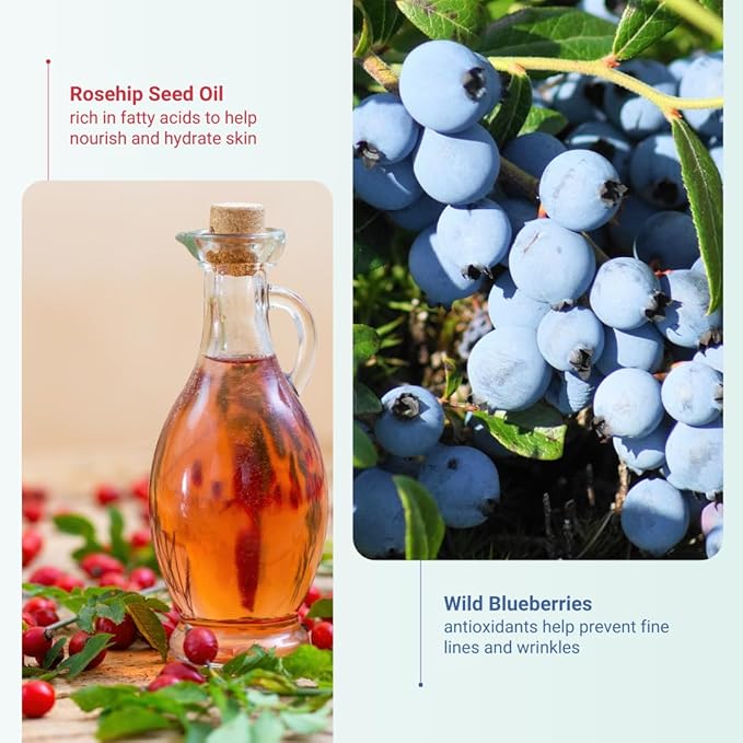 Organic Meadow Herbals Wild Blueberry Eye Cream (0.5oz) - USDA Certified Organic. For Puffy Eyes & Fine Lines – Anti-Aging Eye Care. Woman-Owned & Operated Since 1994.