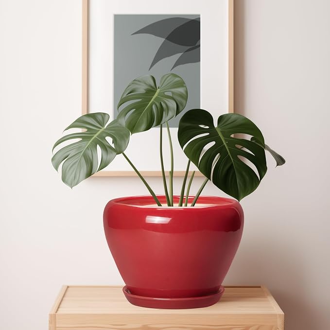 Ceramicfor 10 Inch Plant Pot - Ceramic Planter for Indoor Outdoor Plants, Glaze Modern Round Planter with Drainage Hole and Saucer, Gifts for Plant Lovers, Home Room Garden Decor, Red