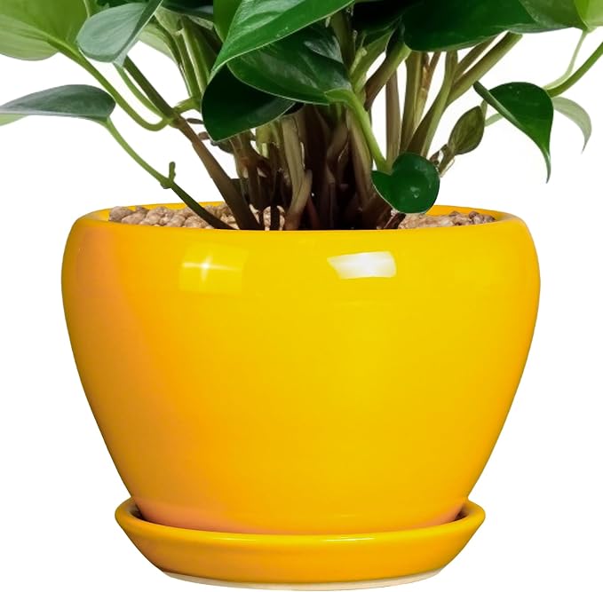 Ceramicfor Ceramic Pot for Plants - 6 Inch Plant Pot Glaze Modern Decorative Round Planter with Drainage Hole and Saucer for Home Patio Room Office House Decor, Yellow