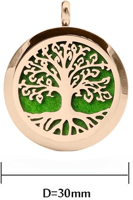 Aromatherapy Essential Oil Diffuser Necklace 316L Stainless Steel Locket Pendant with 24 Inch Chain