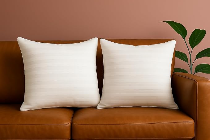 Trendy Home 18x18 Throw Pillow Insert (Set of 2, White) Bed and Couch Pillows Stuffer Hypoallergenic, Decorative Home Indoor Outdoor Sofa Pillow Filler (Machine Wash, 2 Pack)