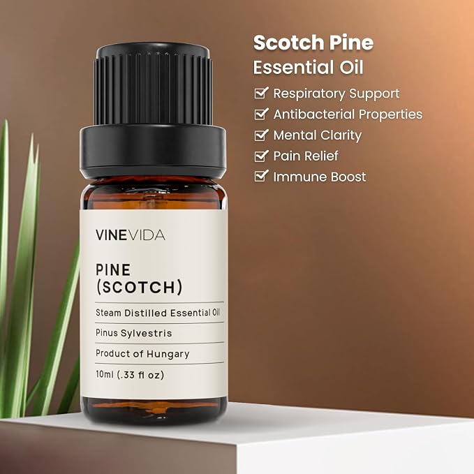 VINEVIDA Pine Scotch Essential Oil - Undiluted - DIY Candle Scents - 10 mL for Soap Making