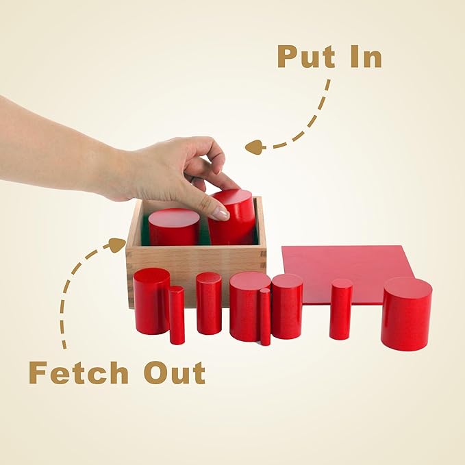MONTESSORI OUTLET Knobless Cylinders (Set of 4) for 3-6 Years Montessori Education at School and Home