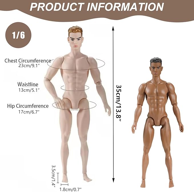 1/6 Scale Action Figure Multi Jointed Posable Male Muscular Action Figure Body with Head for Display Doll Collection, Brown
