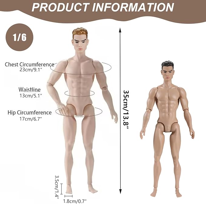 1/6 Scale Action Figure Multi Jointed Posable Male Muscular Action Figure Body with Head for Display Doll Collection, Beige