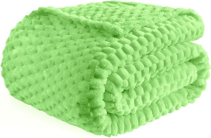 Bnuitland Light Green Flannel Throw Blanket (50X70 inches), 300 GSM Fleece Cozy Warm Soft Home Decor Lightweight Bed Sofa Blanket for Adults, Suitable for All Seasons.