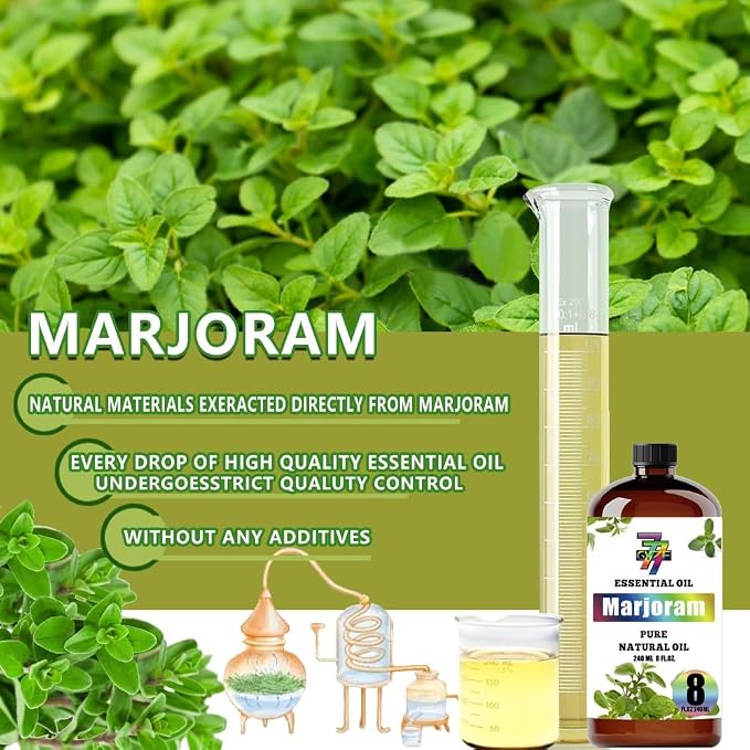 Marjoram Essential Oil, Marjoram Oils, for Diffuser, Massage, Humidifier, DIY Candles, Soap, Home, Gift, Essential Oil, GV77ZF Marjoram Fragrance Oil - 8 fl oz (240 ml)