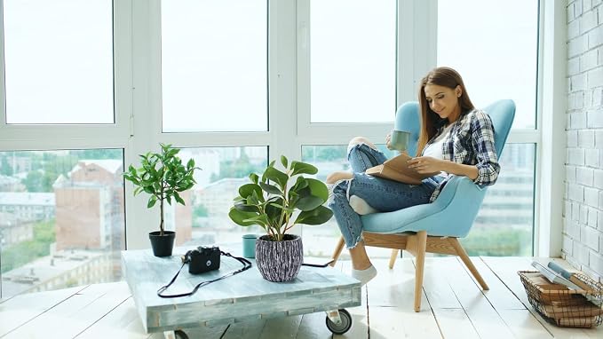 AlphaAcc Fake Faux Fiddle Leaf Fig Cement Planter Housewarming Desk Decor | Real looking and touching evergreen fiddle leaf fig with black cement planter ideal housewarming office desk home decor