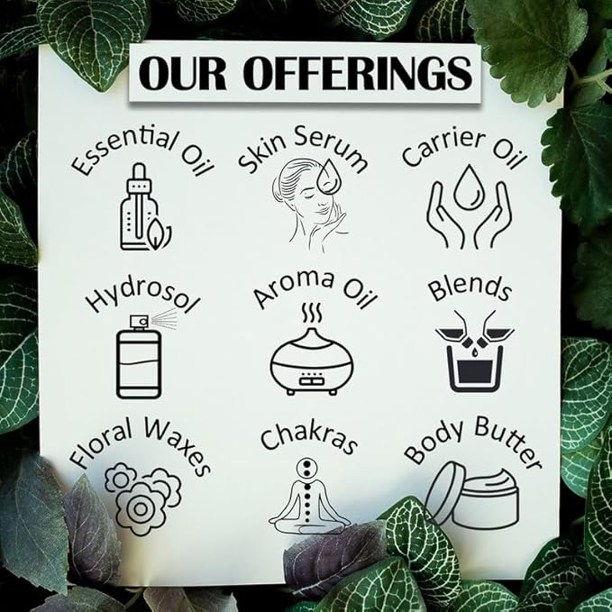Greenwood Essential Pure Cade Essential Oil (Juniperus oxycedrus) Steam Distilled (15ml (0.50 oz) with Glass Dropper)