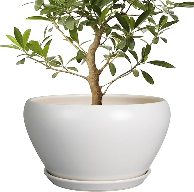 Ceramicfor Planter for Indoor Plants 13 Inch - Ceramic Plant Pot with Drainage Hole and Saucer Decorative Round Large Planter Pot for Plants Outdoor Flower Pot for Room Decor White