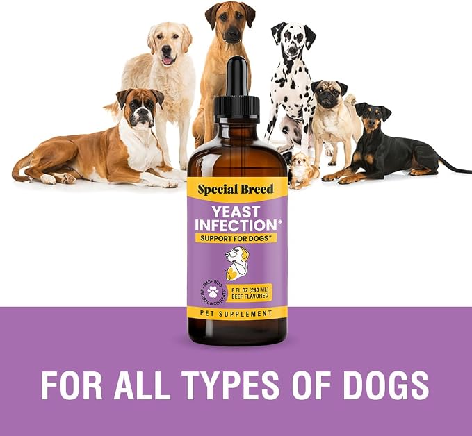Natural Yeast Infection Relief for Dogs – Itchy Skin & Ear Treatment, Supports Allergy & Immune Health, Reduces Itching, Irritation & Inflammation, Liquid Drops, 8oz
