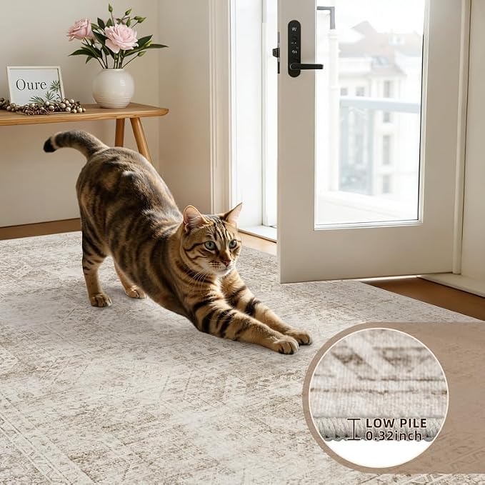 6x9 Area Rugs for Living Room: Vintage Boho Neutral Washable Rug Indoor Soft Large Area Rug Carpet for Bedroom Nursery Farmhouse Dining Room Office Floor Non-Slip Low Pile Under Table Rug Brown