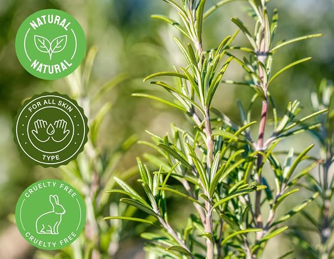 GreenHealth Rosemary Essential Oil – 4 fl oz (Pack of 2) – 100% Pure & Natural – Undiluted Steam Distilled – Amber Glass Bottle with Dropper for Diffuser, Candle Making, DIY, and Home Fragrance