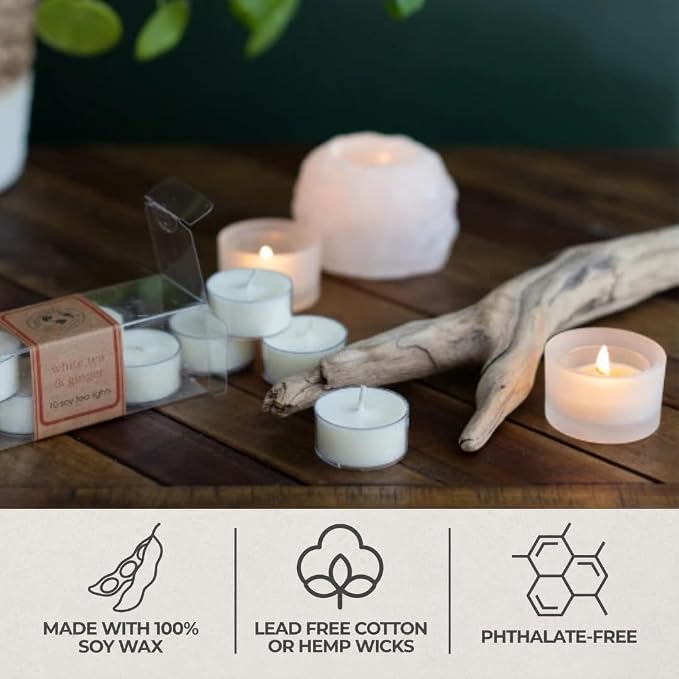 Eco Candle Co. Crushed Cranberry Tea Light Candles, 10-Pk, 9 Hr Burn Time | Scents of Fresh Cranberries, Apples, Citrus, Clove & Cinnamon - Recyclable, No Lead, Kraft Paper Label & Lid, Hand Poured