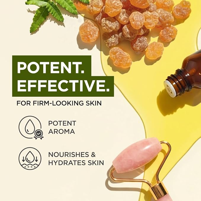 Gya Labs Frankincense Essential Oil - 0.34 Fl Oz - for Hair, Skin, Diffuser, Aromatherapy & DIY Candle Making Scent (Pack of 2)
