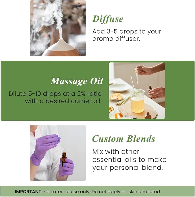 Handcraft Blends Clean & Herbal Set: Rosemary and Tea Tree Essential Oils – (2 x 4 Fl Oz) – 100% Pure & Natural – for Diffuser, Aromatherapy, and DIY Projects