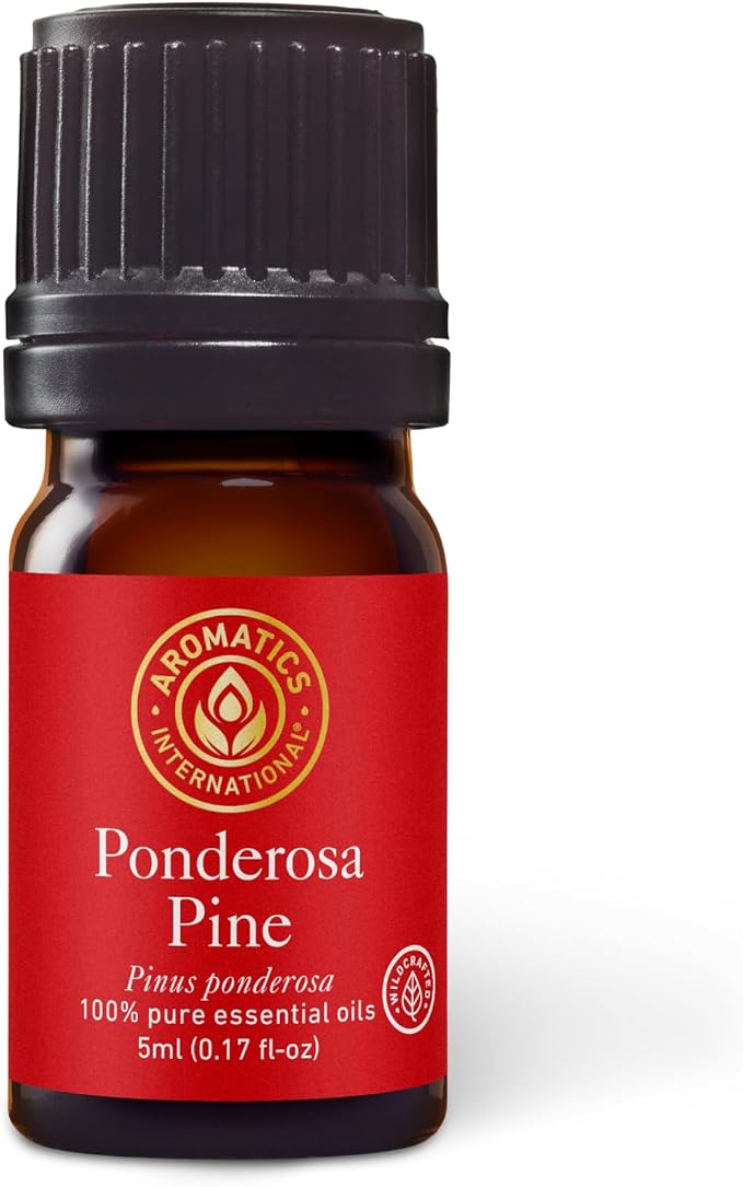 Aromatics International Premium Organic Ponderosa Pine Essential Oil 5ml | 100% Pure Essential Oil for Diffusion & Aromatherapy