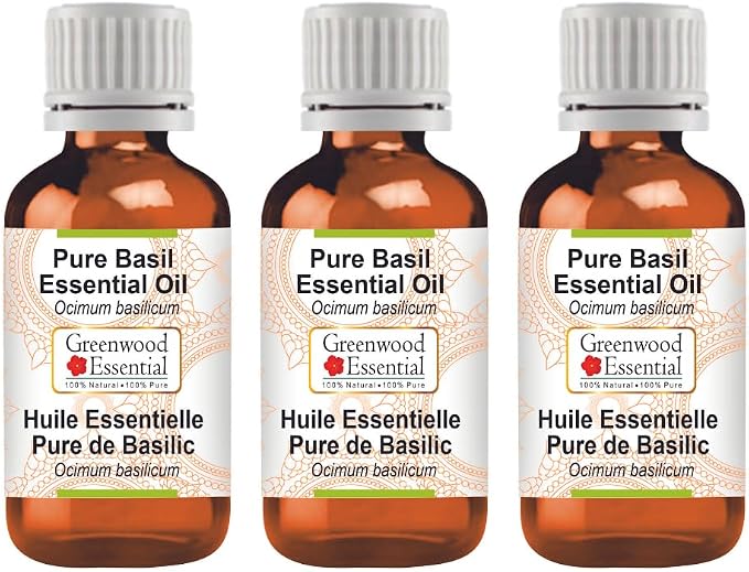 Greenwood Essential Pure Basil Essential Oil (Ocimum basilicum) Steam Distilled (Pack of Three) 100ml X 3 (10 oz)