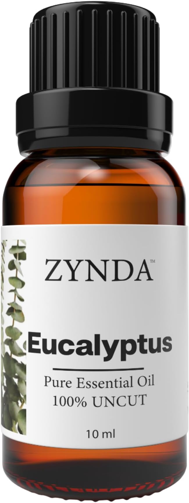 Eucalyptus Essential Oil 10ml – 100% Pure, Uncut & Steam Distilled Eucalyptus Oil for Diffuser, Skin Care, Hair, and Aromatherapy – Authentic, Fresh, Invigorating Aroma