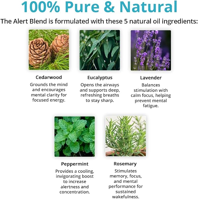 Wild Essentials Alert Essential Oil Blend 2-Pack – Roll-On & Nasal Inhaler with Cedarwood, Eucalyptus, Lavender, Peppermint & Rosemary – Natural Energy, Focus & Mental Clarity Aromatherapy Set