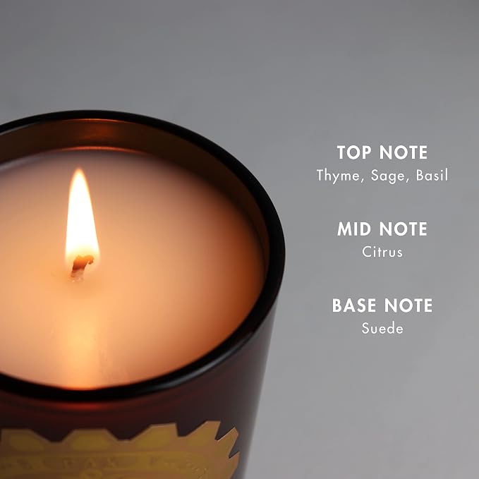 SAINT Benedict Scented Candle with Prayer and Prayer Coin | Saint of Peace and Protection from Evil - Soy Coconut Aromatherapy Candle with 80 Hour Burn Time, Special Edition