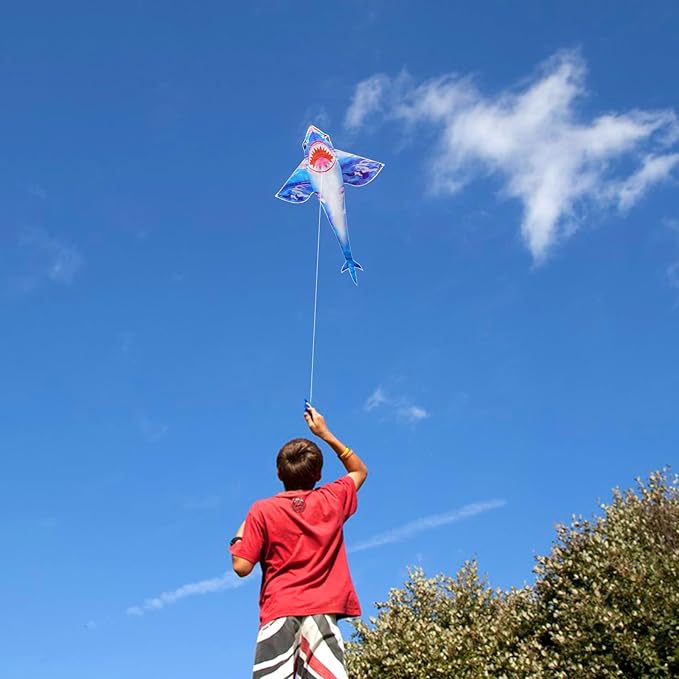Kites for Kids and Adults, Easy to Fly for Beach, Single Line Kite Set for Beginners