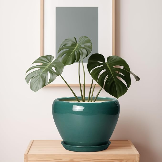 Ceramicfor Ceramic Planter for Indoor Plants 10 Inch - Ceramic Plant Pot with Drainage Hole and Saucer, Glaze Round Modern Decorative Planter, Plant Lover Gifts, Home Room Office Decor, Green