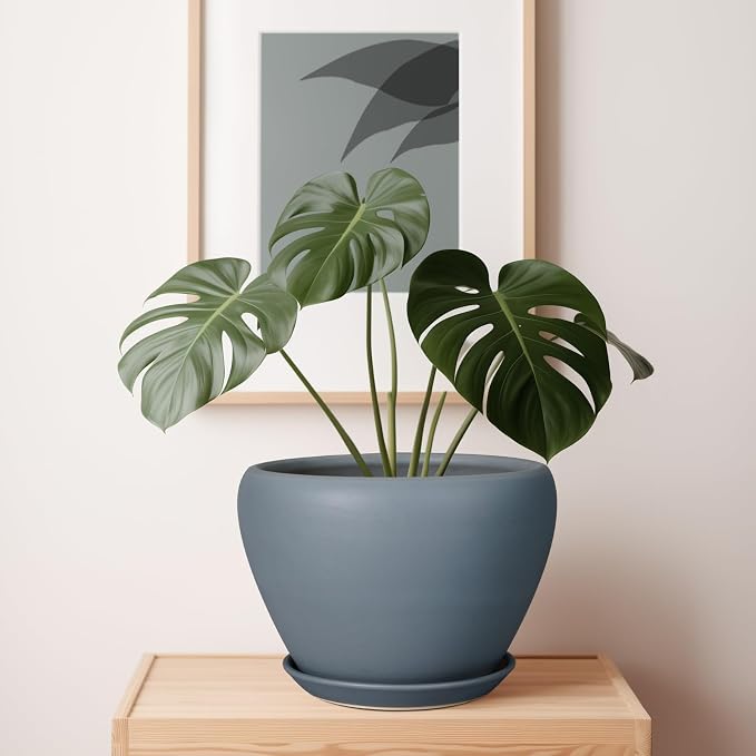 Ceramicfor 10 Inch Plant Pot - Ceramic Planter for Indoor Plants Large Plant Pot with Drainage Hole and Saucer Round Outdoor Planter Modern Flower Pot for Home Decor Gray