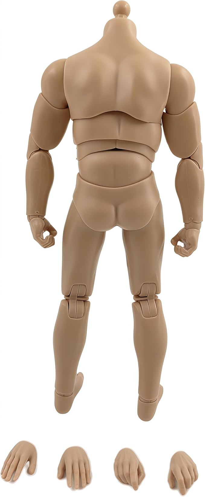 1:12 Male Action Figure Body – 6 Inch Highly Articulated Muscle Figure Base for Custom Military Models, Kitbashing, and Display Builds (3-Part Waist)