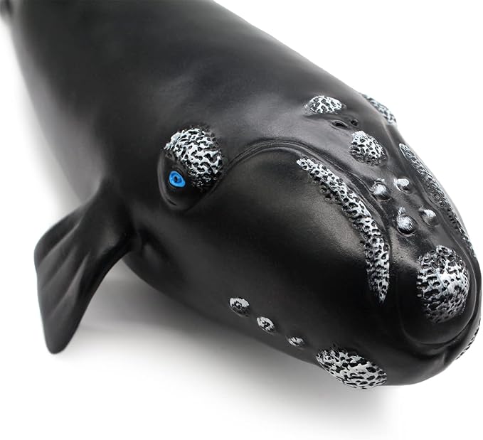 SmilerSmile Simulated Ocean Big Animal, One pc 15Inch Soft Filled Rubber Sea Educational Toys (Exposed Ridge Shark)