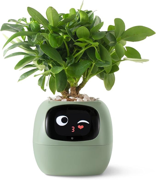 Ivy Intelligent Flower Pot for Home Decoration Plants Companion Neat Desk Setup Gift Smart Pet Planter Robot Guidance on Plant Care with Emojis Pet Friends (Green)