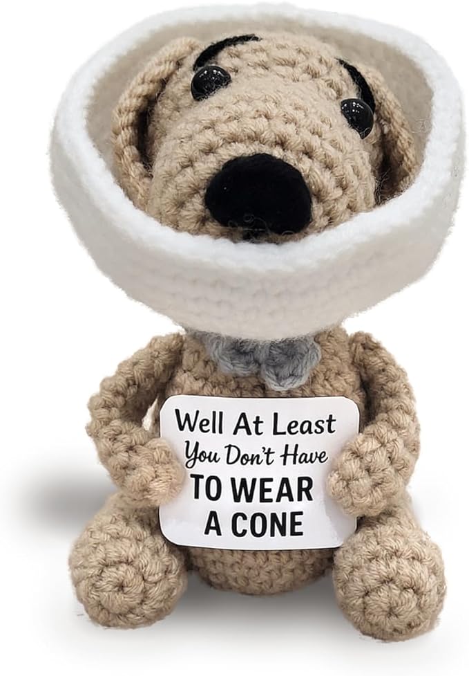 Well at Least You Don’t Have to Wear a Cone – Funny and Thoughtful Crochet Dog Gift – 4.5" Handmade Plush for Surgery Recovery, Vasectomy Humor, or Quirky Retirement Gift