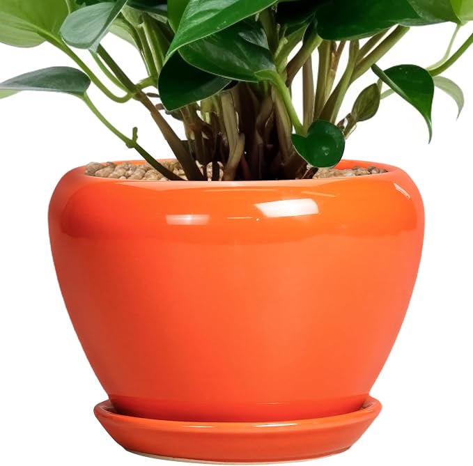 Ceramicfor Ceramic Plant Pot 6 Inch - Ceramic Planter for Indoor Plants Outdoor, Glaze Round Modern Flower Pot with Drainage Hole and Saucer, Gift for Plant Lover, Home Garden Room Decor, Orange