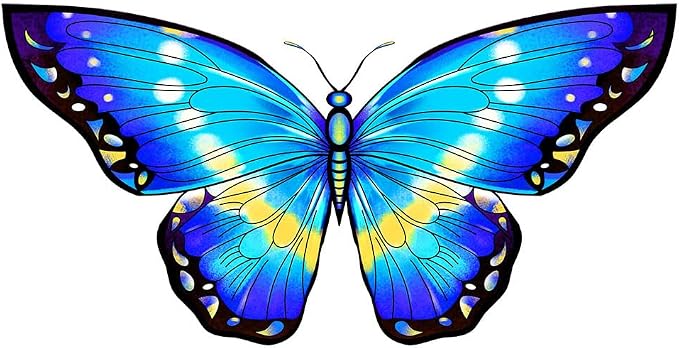 HONBO Butterfly Kites for Kids & Adults, Easy to Fly for Beginners, Each Kite with 300ft Line Handle,Beginner Kite for Kids Ages 4-8,Beach Kites for Outdoor Activities & Family Trip