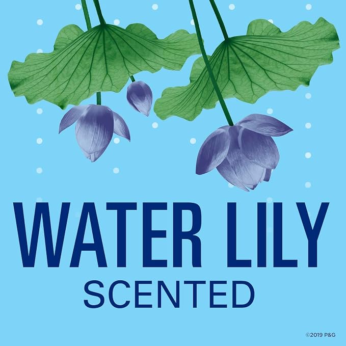 Secret Invisible Solid Antiperspirant and Deodorant, Waterlily Scent, 2.6 oz (Pack of 2)