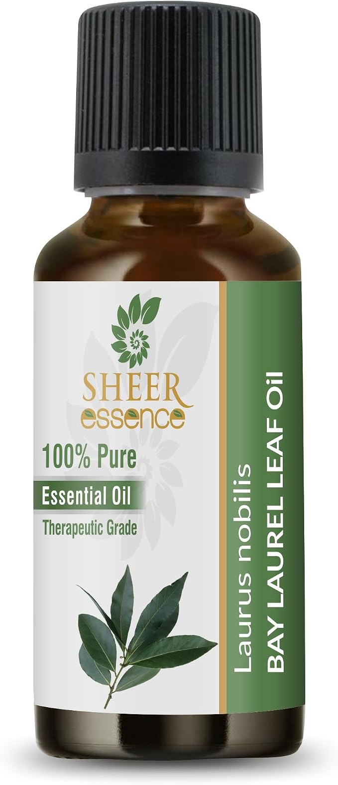 Bay Laurel Leaf Oil 100% Pure Undiluted Natural Uncut Therapeutic Grade Steam Distilled Essential Oils for Skin, Hair and Aromatherapy 5000ML