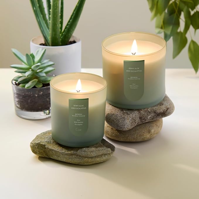 CUE Scented Candle |MoodBoost Essential Oils |OpenWick Clean Burning Candle | Soy Coconut Wax Blend | Candle for Home | Gift |Extended Burn Time (14oz, Dewy Aloe and Eucalyptus)
