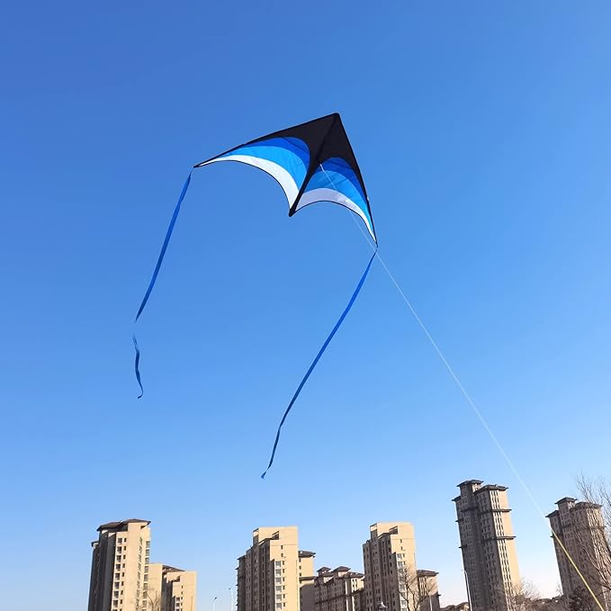 Mint's Colorful Life Delta Kite for Kids & Adults, Extremely Easy to Fly Kite for Beach Trip, Best Kites for Beginners, 300ft String Handle Included