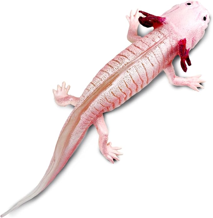 Safari Ltd. Axolotl Figurine - Realistic 7" Model Figure - Educational Toy for Boys, Girls, and Kids Ages 3+