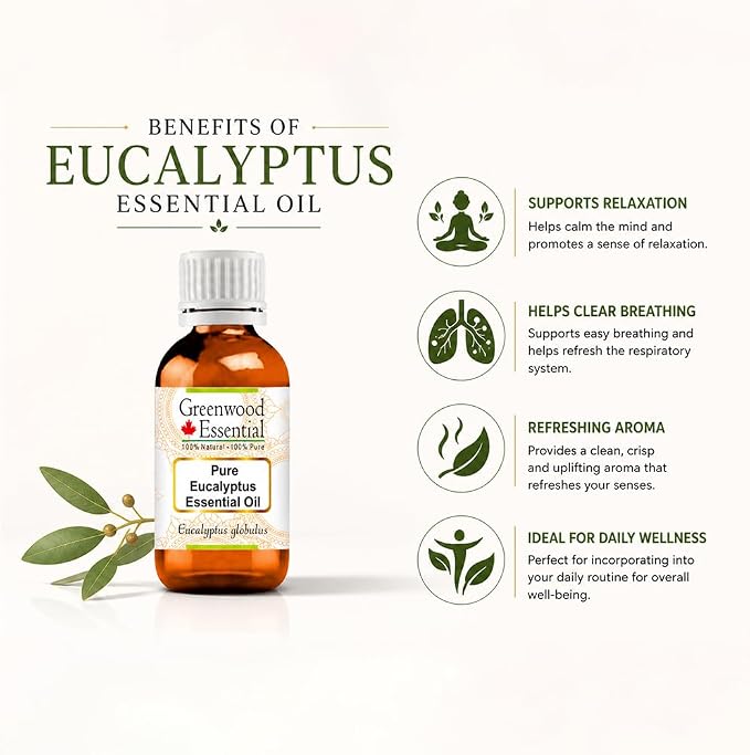 Greenwood Essential Eucalyptus Essential Oil (Eucalyptus globulus) Pure | Non-Sticky | Non-Greasy | Lightweight | Men & Women | All Skin Types | Steam Distilled 50ml (1.69 oz)