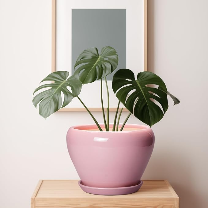 Ceramicfor 10 Inch Plant Pot - Ceramic Planter for Indoor Plants, Glaze Modern Round Planter with Drainage Hole and Saucer, Gifts for Plant Lovers, Office Patio Home Room Decor, Pink
