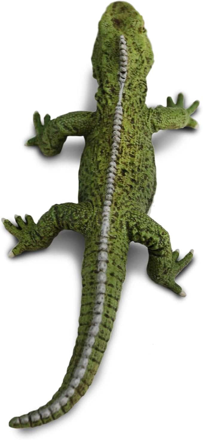 Safari Ltd. Tuatara Figurine - Realistic 7" Reptile Figure - Fun Educational Toy for Boys, Girls, and Kids Ages 3+