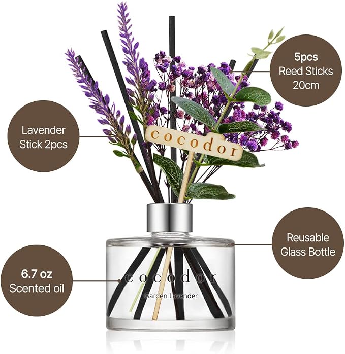 COCODOR Lavender Reed Diffuser/Black Cherry / 6.7oz(200ml) / 1 Pack/Home Decor & Office Decor, Fragrance and Gifts