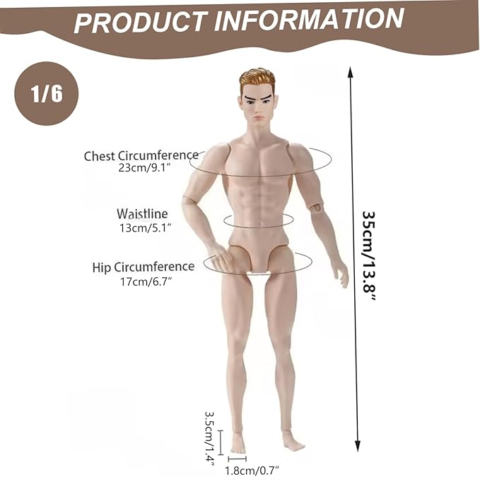 1/6 Scale Action Figure Multi Jointed Posable Male Muscular Action Figure Body with Head for Display Doll Collection, White Body Custom Figures Blank