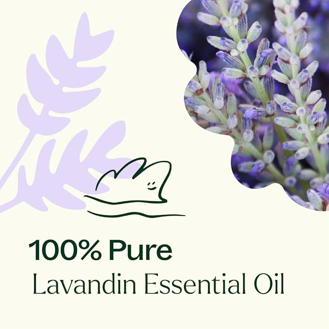 Plant Therapy Lavandin Essential Oil 30 mL (1 oz) 100% Pure, Undiluted, Supports Calm and Balanced Emotions
