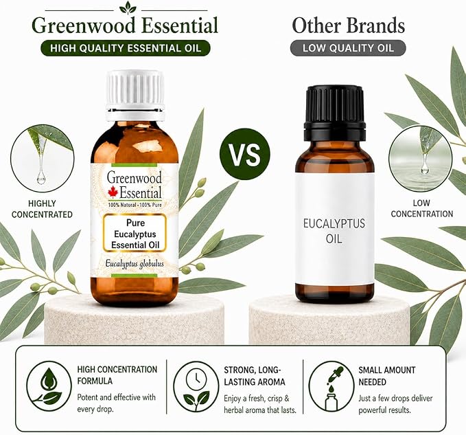 Greenwood Essential Pure Eucalyptus Essential Oil (Eucalyptus globulus) Steam Distilled (Pack of Two) 100ml X 2 (6.76 oz)