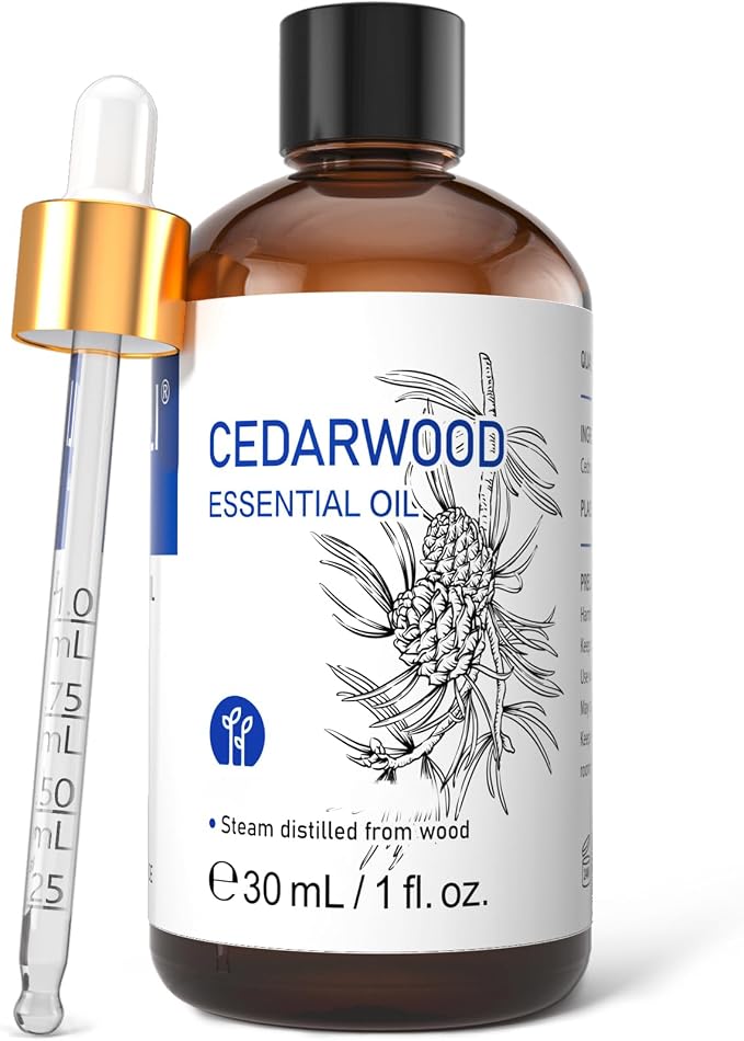 HIQILI 1 Fl Oz Cedarwood Essential Oil, Cedarwood Oil for Hair, Diffuser, Aromatherapy - 30ML | For Massage Skin Care Soap Bath Bombs Lotions Boost Scalp Circulation Reduce Hair Loss Fade Acne Marks - 30mL / 1.01 fl.oz