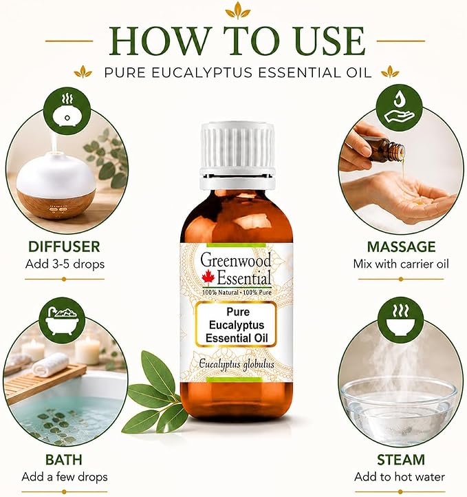 Greenwood Essential Eucalyptus Essential Oil (Eucalyptus globulus) Pure | Non-Sticky | Non-Greasy | Lightweight | Men & Women | All Skin Types | Steam Distilled 30ml (1 oz)