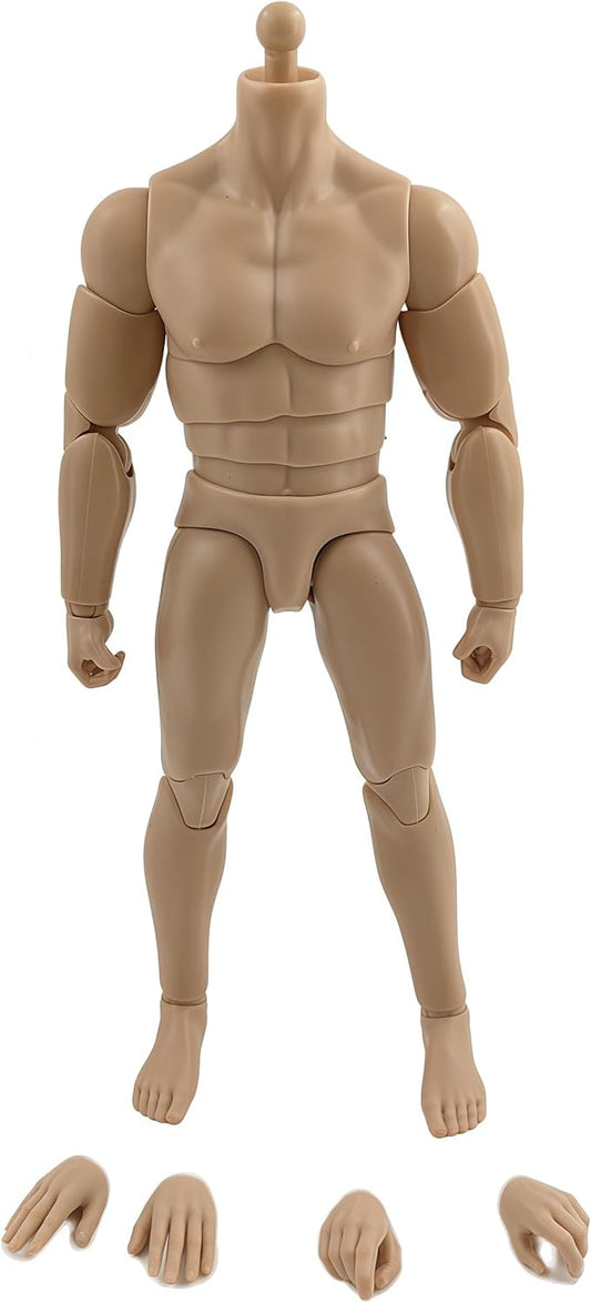 1:12 Male Action Figure Body – 6 Inch Highly Articulated Muscle Figure Base for Custom Military Models, Kitbashing, and Display Builds (3-Part Waist)