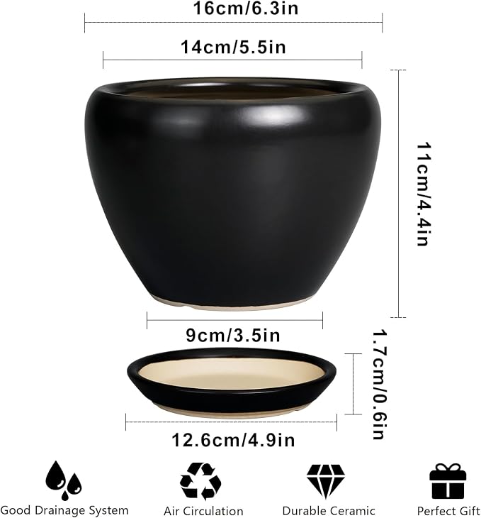 Ceramicfor Ceramic Planter Pot - 6 Inch Plant Pot with Drainage Hole and Saucer Round Planter for Indoor Plants Outdoor Succulent Pot Modern Flower Pot for Home Decor Black